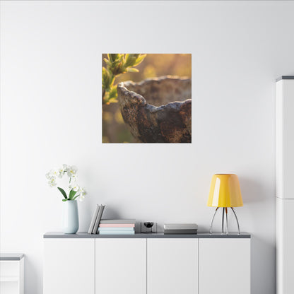 Golden Hour Ceramic Bowl Canvas Art - Dark Japandi Ma