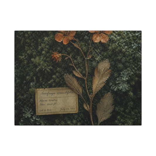 Dawn Moss Close Up Canvas Art - Cottagecore Seijaku