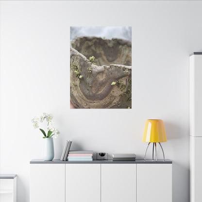 Overcast Ceramic Bowl Canvas Art - Japandi Fukinsei