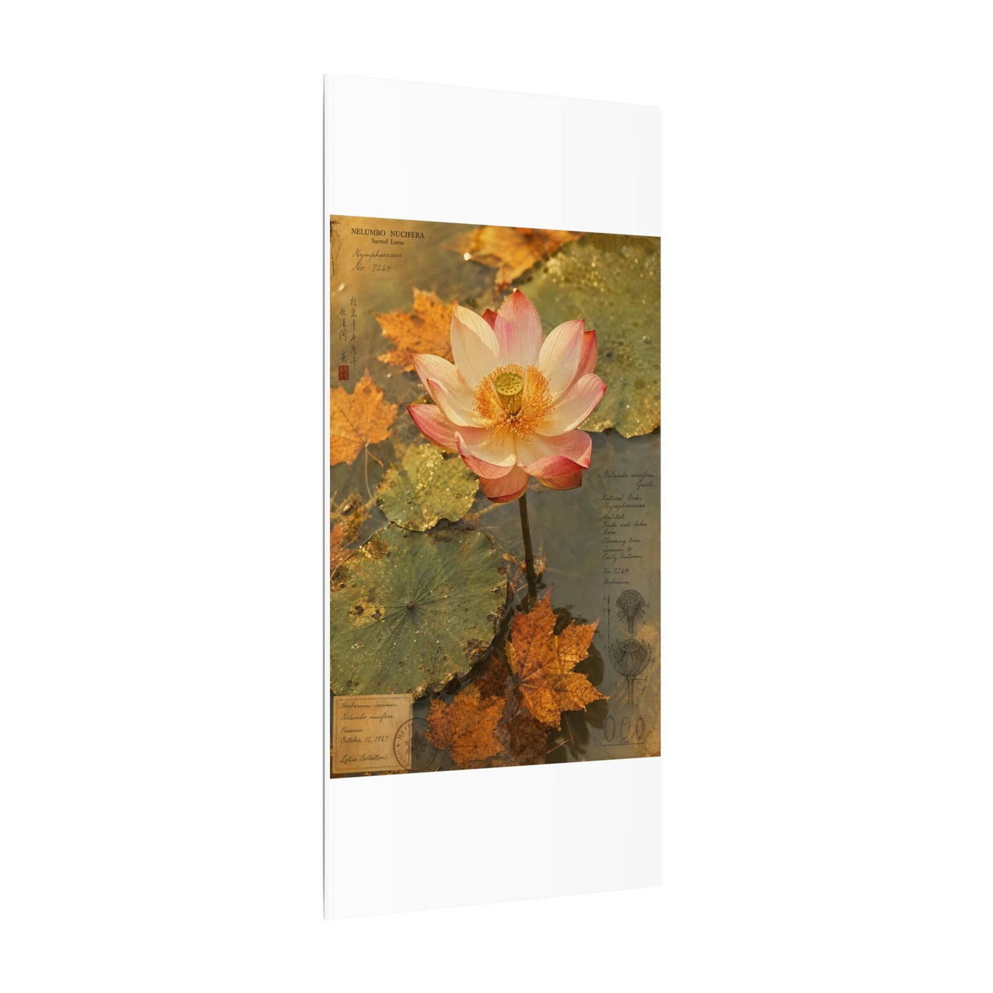 Autumn Lotus Flower Herbarium Canvas Art | Rustic Decor