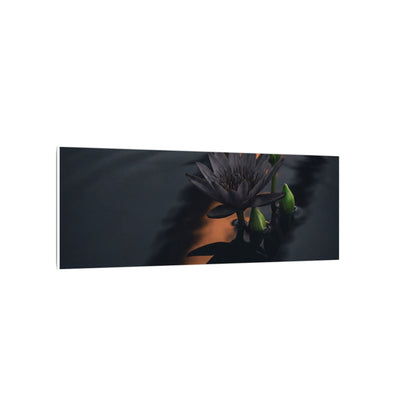 Seijaku Lotus Flower Canvas Art - Dark Japandi Shadow Zen