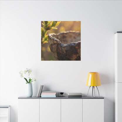 Golden Hour Ceramic Bowl Canvas Art - Dark Japandi Ma