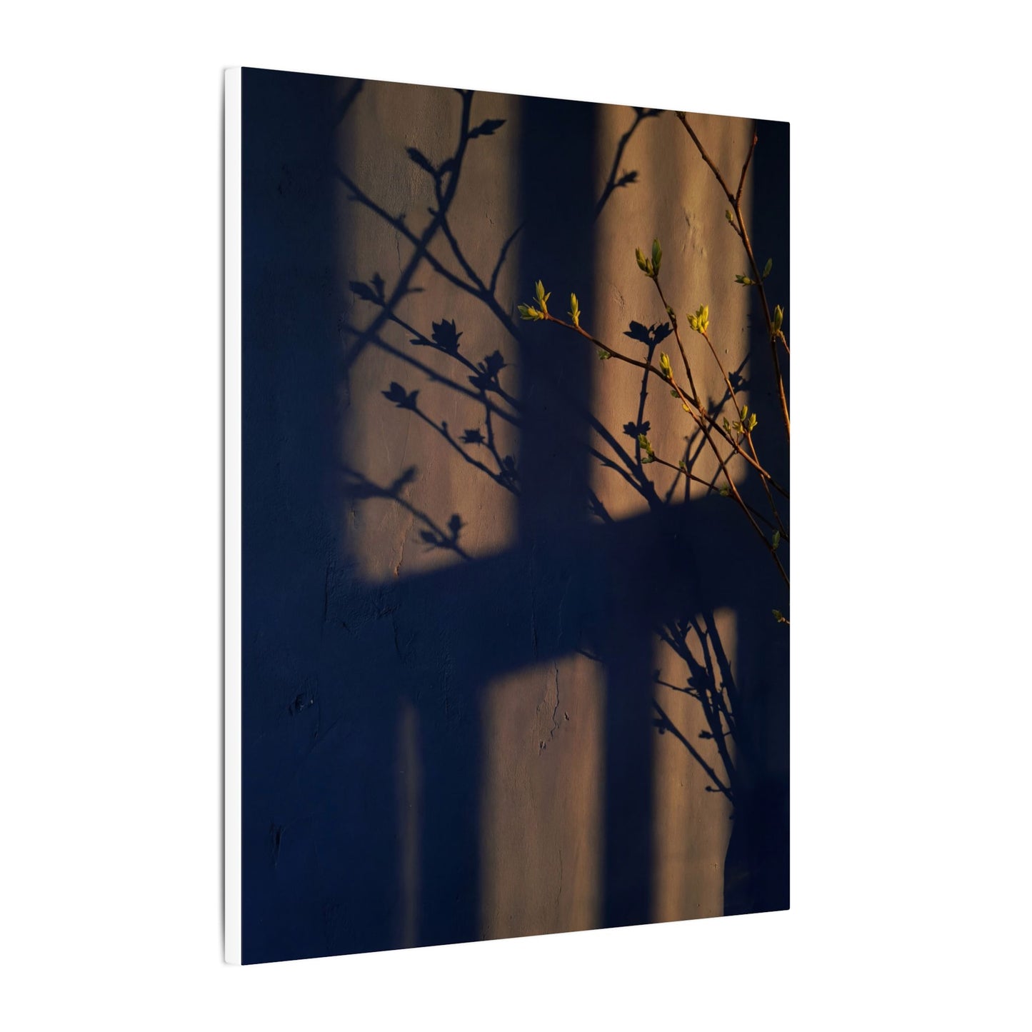 Shadow Play Canvas Art | Spring Dark Japandi Shadow Zen Art