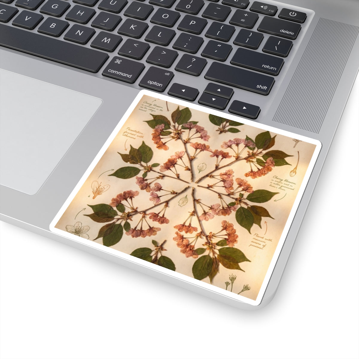 Summer Cherry Blossom Herbarium Sticker | Nostalgic Decor Art Print