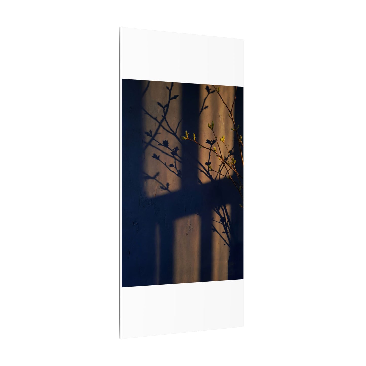 Shadow Play Canvas Art | Spring Dark Japandi Shadow Zen Art