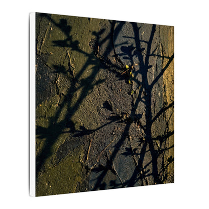 Kanso Shadow Play Canvas Art - Dark Japandi Dark Texture