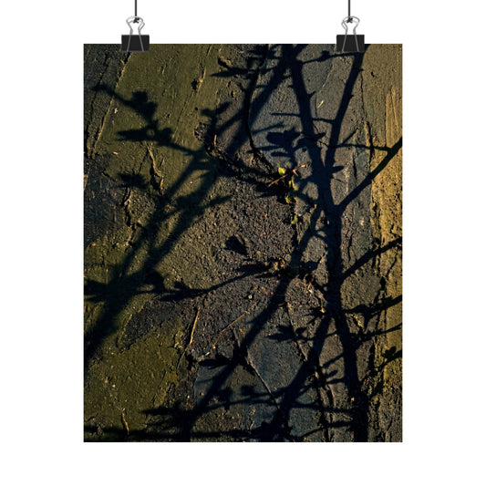 Golden Hour Shadow Play Wall Art Print - Dark Japandi Kanso Art Print