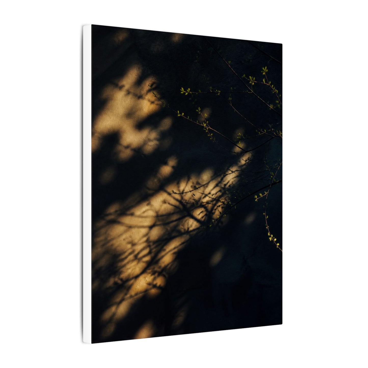 Moody Shadow Play Canvas Art - Moody Minimal Dark Japandi
