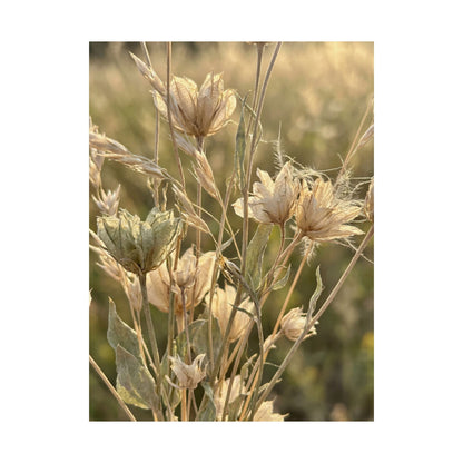 Cozy Dried Flowers Wall Art Print - Minimal Line Japandi