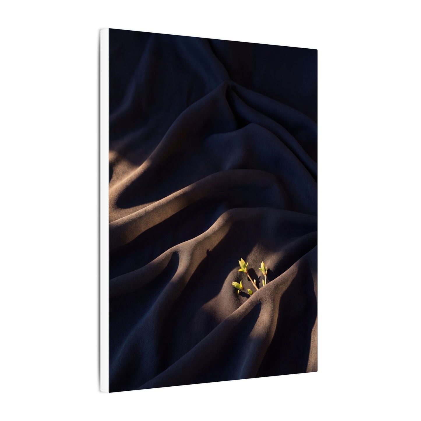 Silk Drape Shadow Zen Canvas Art | Luxurious Dark Japandi Art