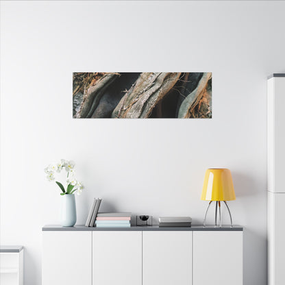 Silk Drape Winter Canvas Art | Japandi Cozy Design