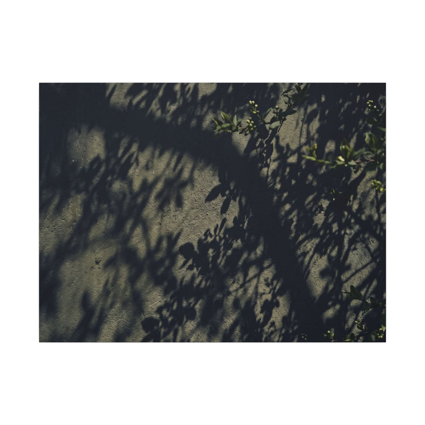 Atmospheric Shadow Play Canvas Art - Moody Minimal Dark Japandi