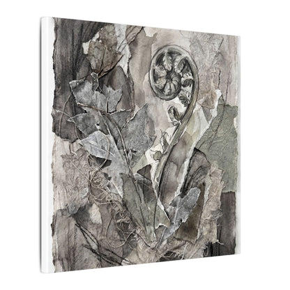 Japandi Fern Unfurling in Overcast | Texture Canvas Art