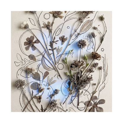 Neutral Dried Flowers Wall Art Print - Minimal Line Japandi