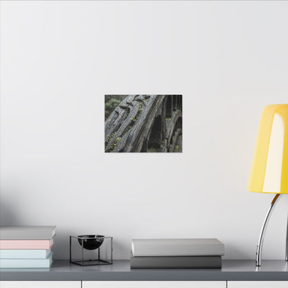 Overcast Wooden Bridge Canvas Art - Japandi Kanso