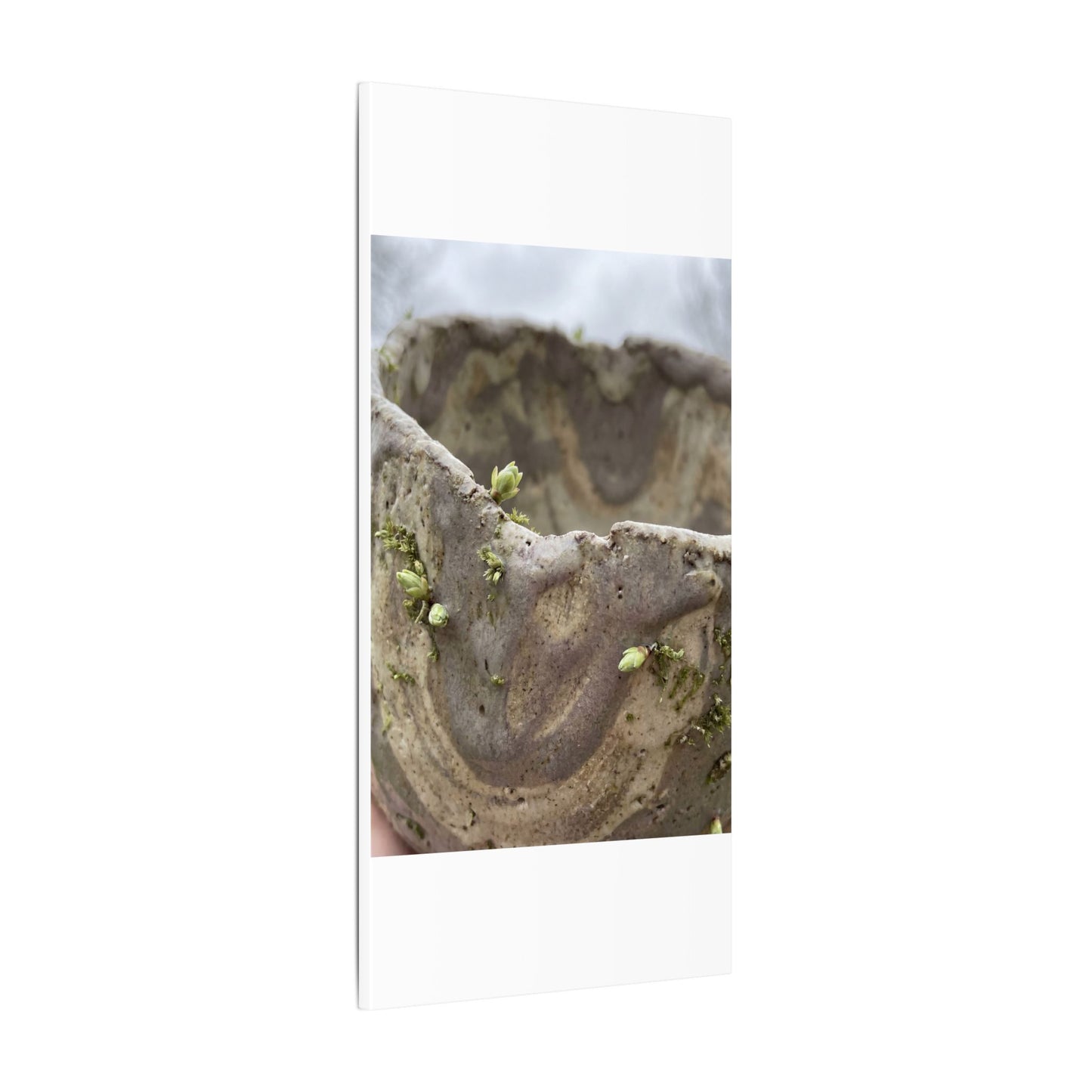 Overcast Ceramic Bowl Canvas Art - Japandi Fukinsei