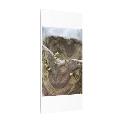 Overcast Ceramic Bowl Canvas Art - Japandi Fukinsei