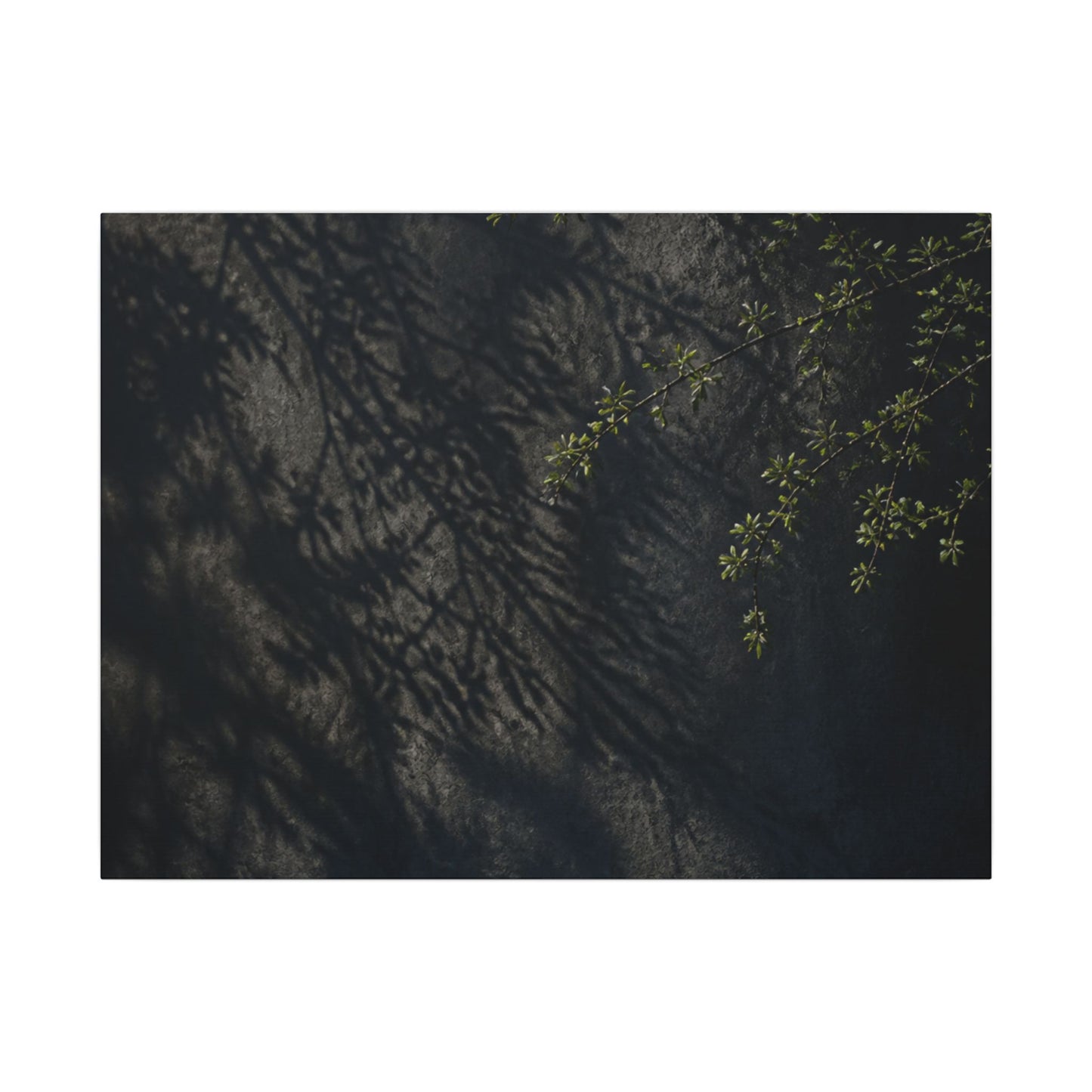 Overcast Shadow Play Canvas Art - Dark Japandi Seijaku