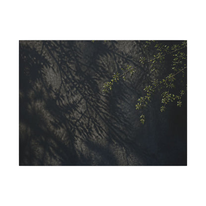 Overcast Shadow Play Canvas Art - Dark Japandi Seijaku