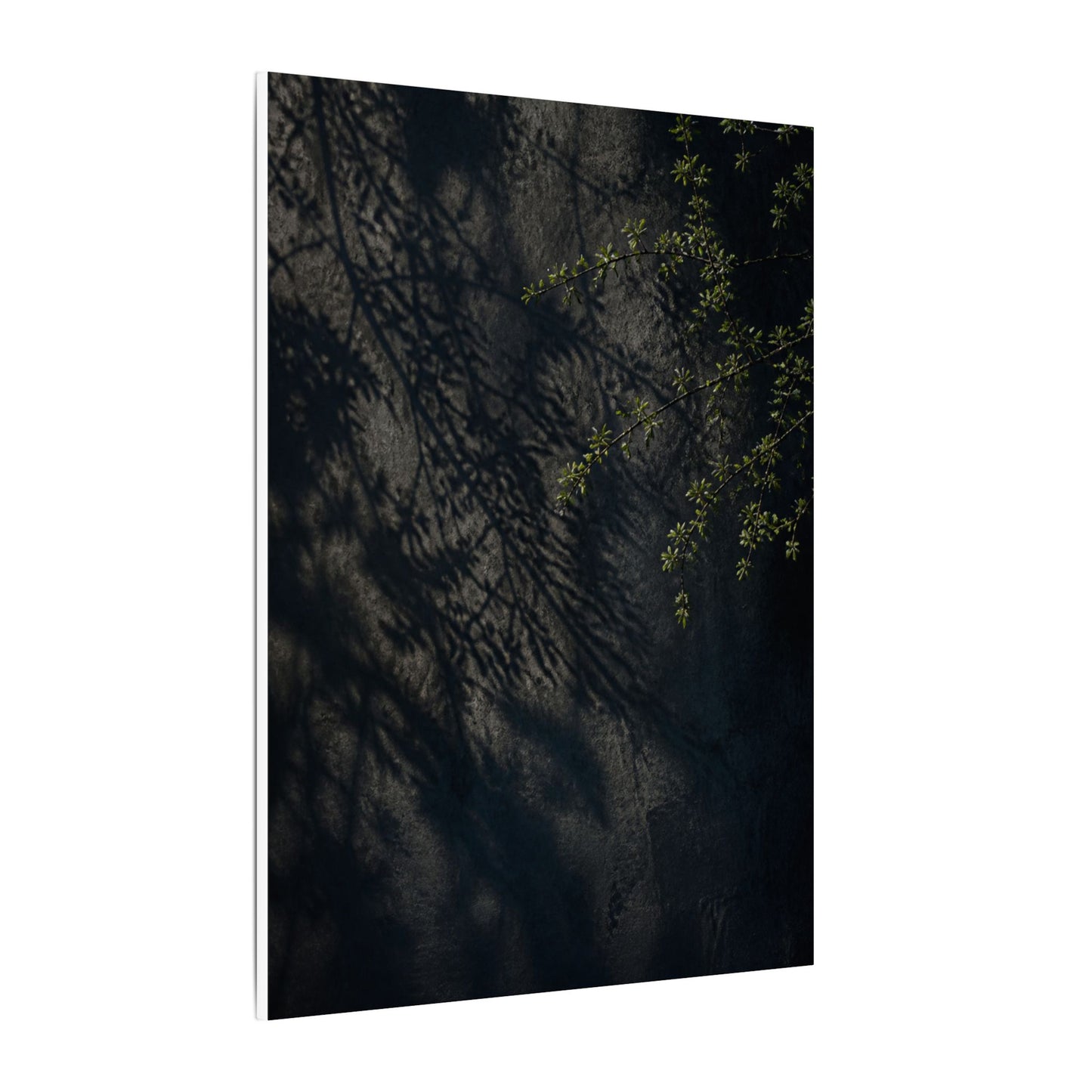 Overcast Shadow Play Canvas Art - Dark Japandi Seijaku