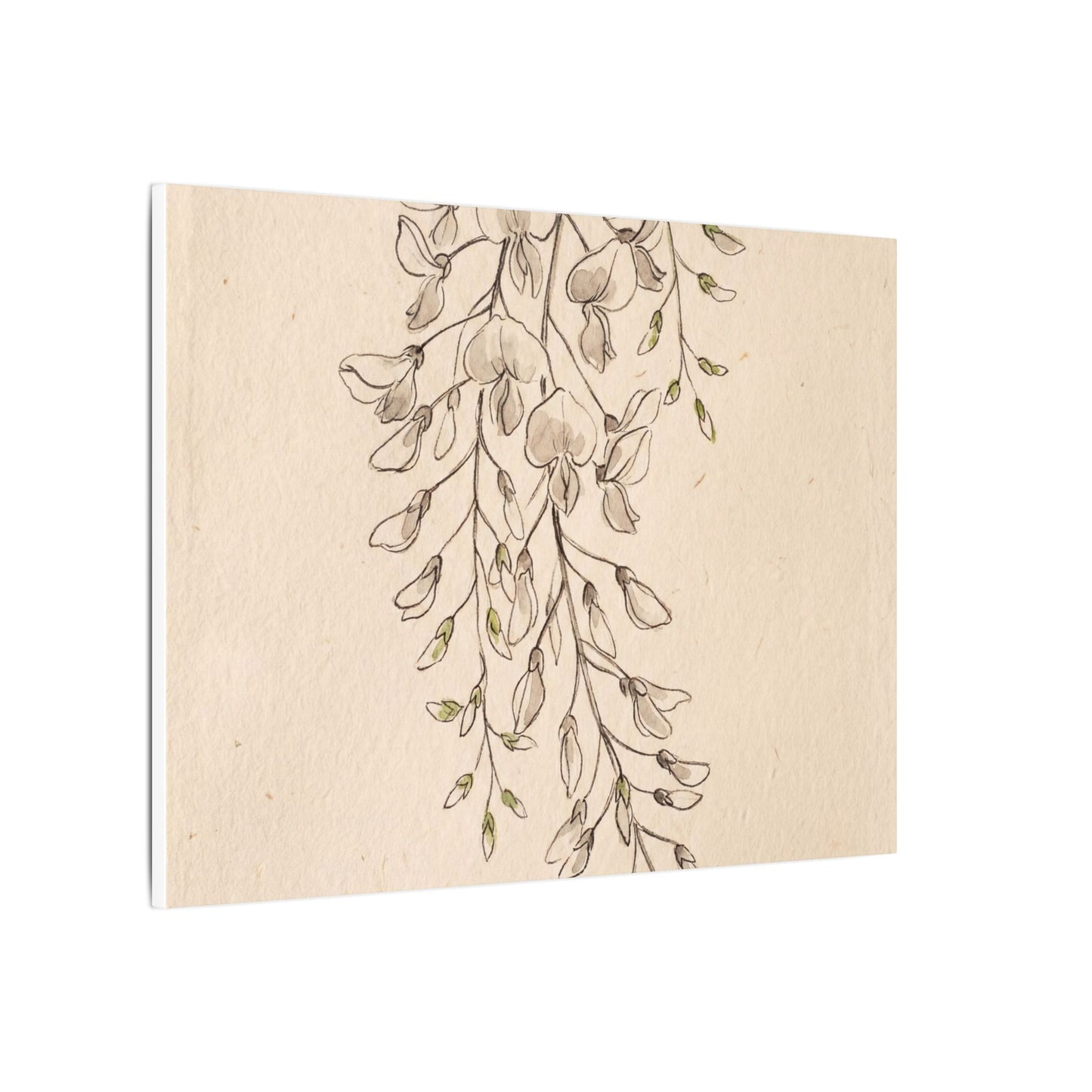 Japandi Wisteria in Golden Hour | Minimal Line Canvas Art