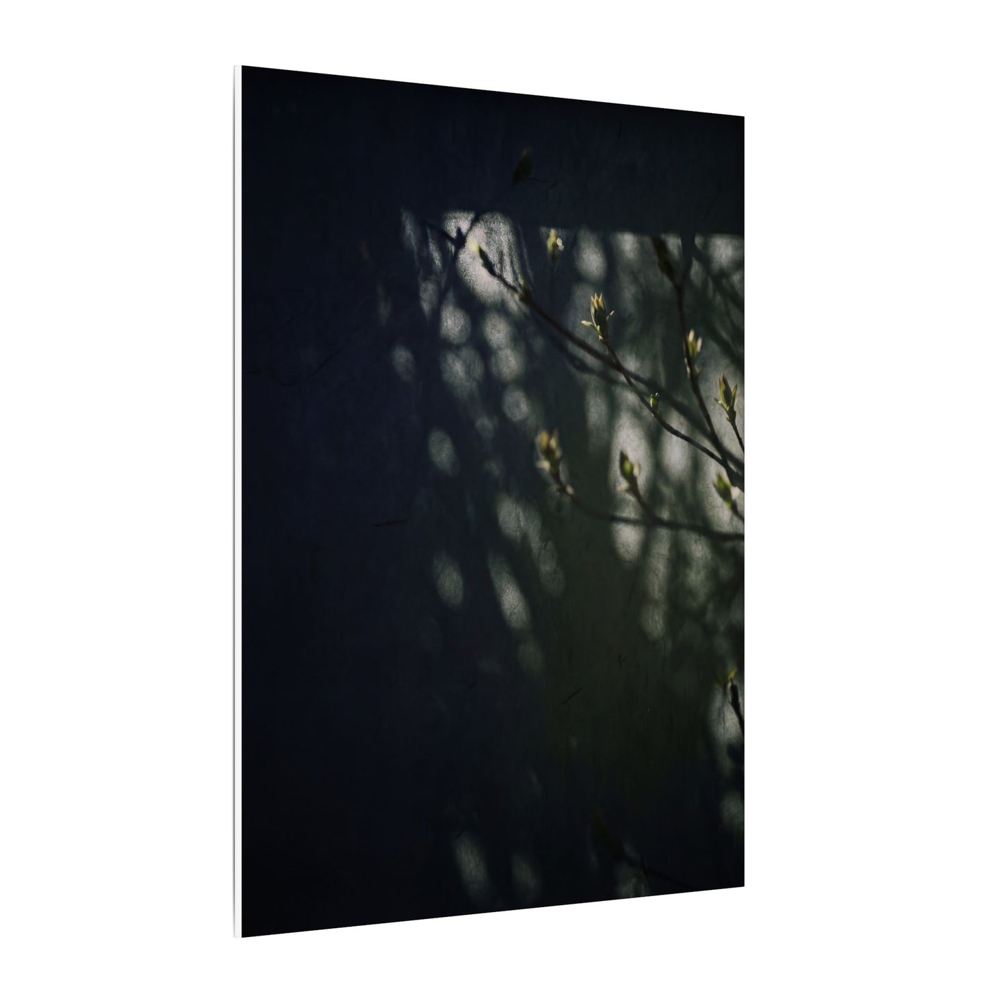 Dark Japandi Shoji Screen in Dappled | Moody Minimal Canvas Art