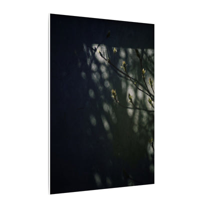 Dark Japandi Shoji Screen in Dappled | Moody Minimal Canvas Art