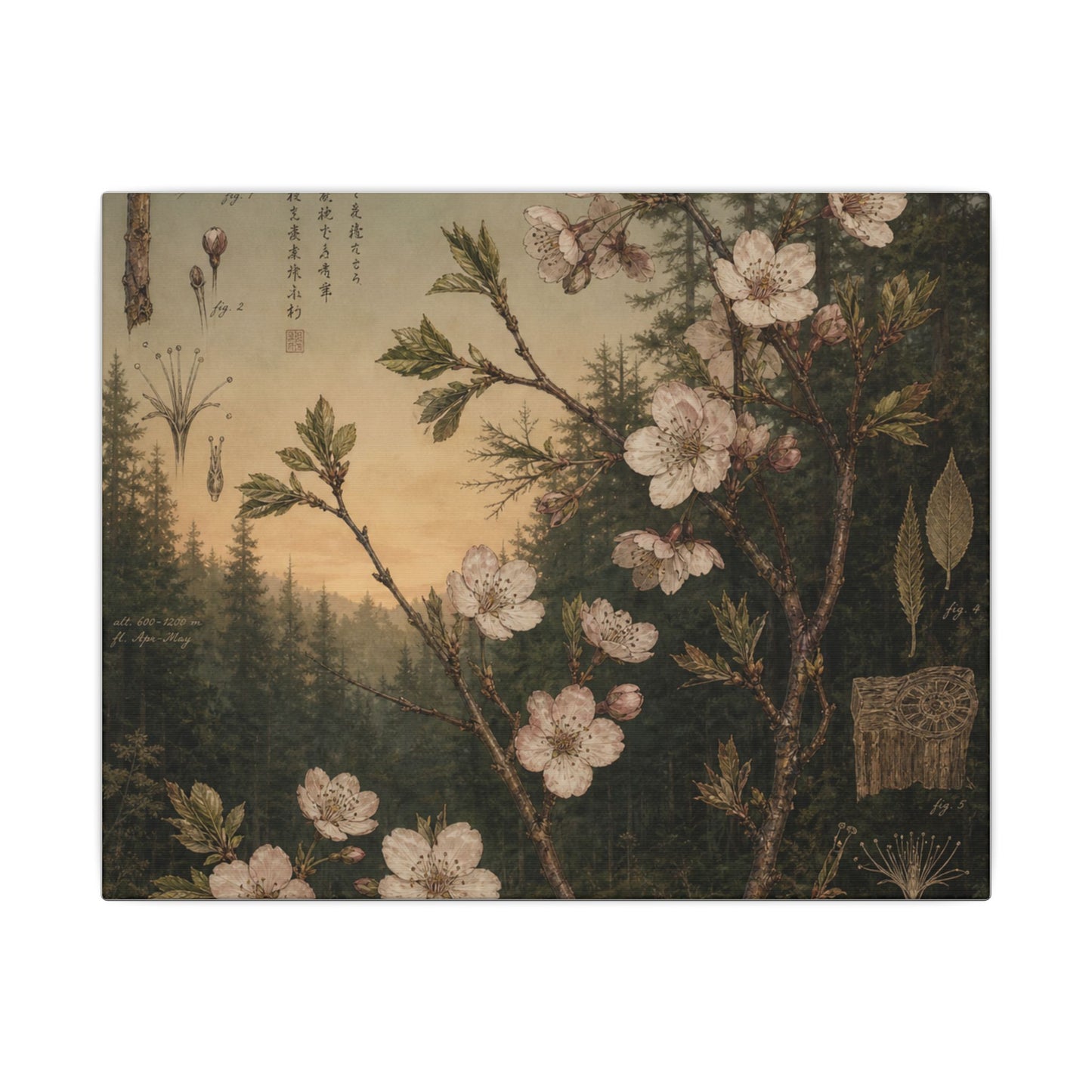 Spring Cherry Blossom Herbarium Canvas Art | Nostalgic Decor
