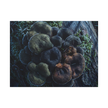 Wild Mushrooms Moody Minimal Canvas Art | Moody Dark Japandi Art Art Print