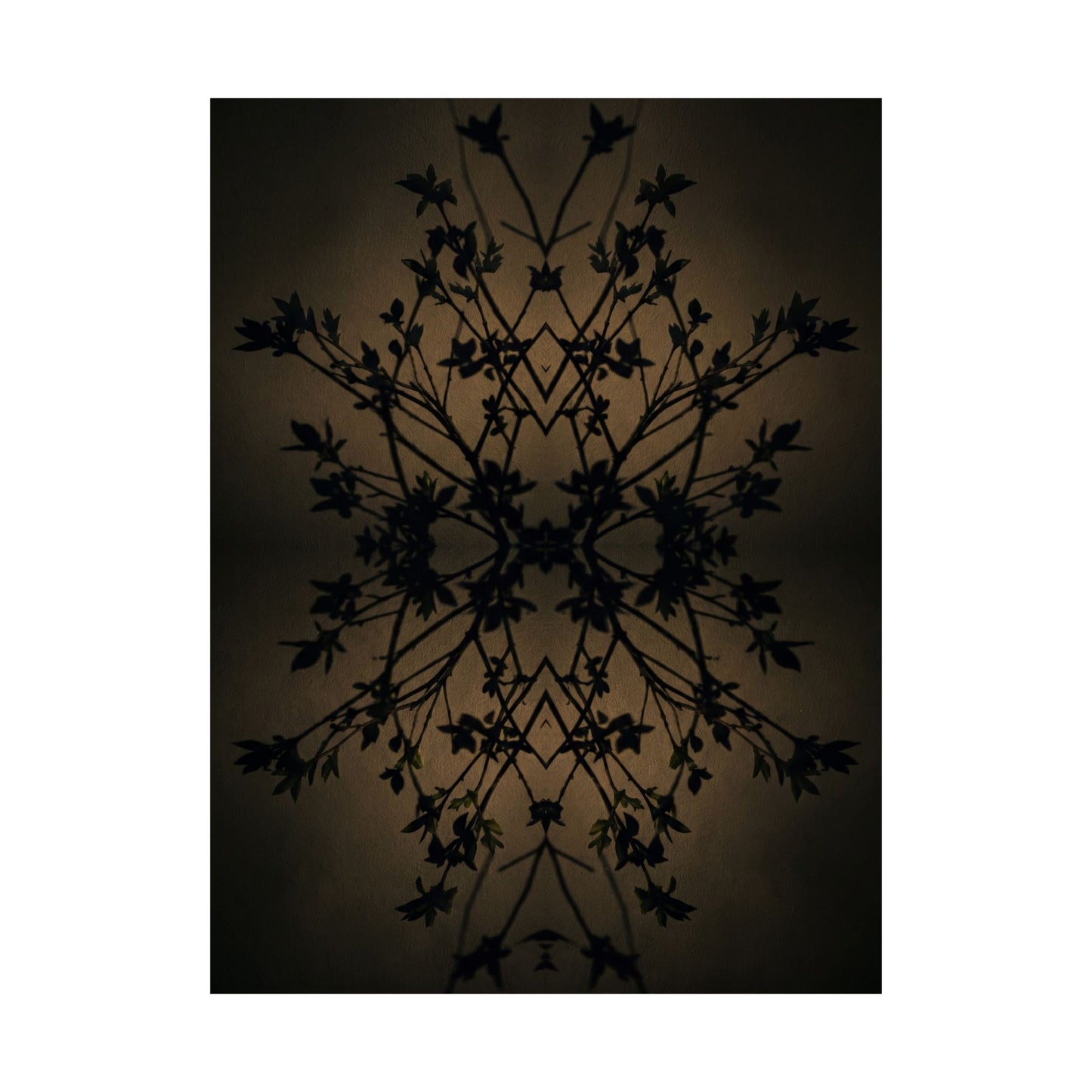 Shadow Play Wall Art Print | Spring Dark Japandi Shadow Zen Art