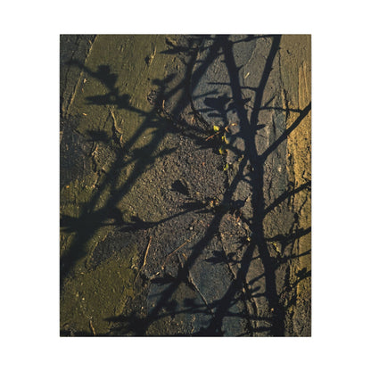 Kanso Shadow Play Canvas Art - Dark Japandi Dark Texture