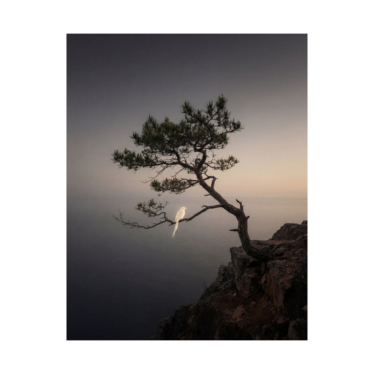 Moody Pine Tree Wall Art Print - Moody Minimal Dark Japandi
