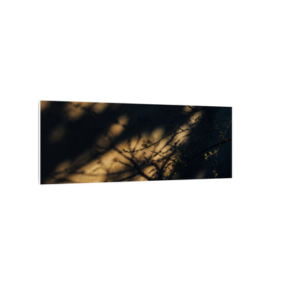 Moody Shadow Play Canvas Art - Moody Minimal Dark Japandi