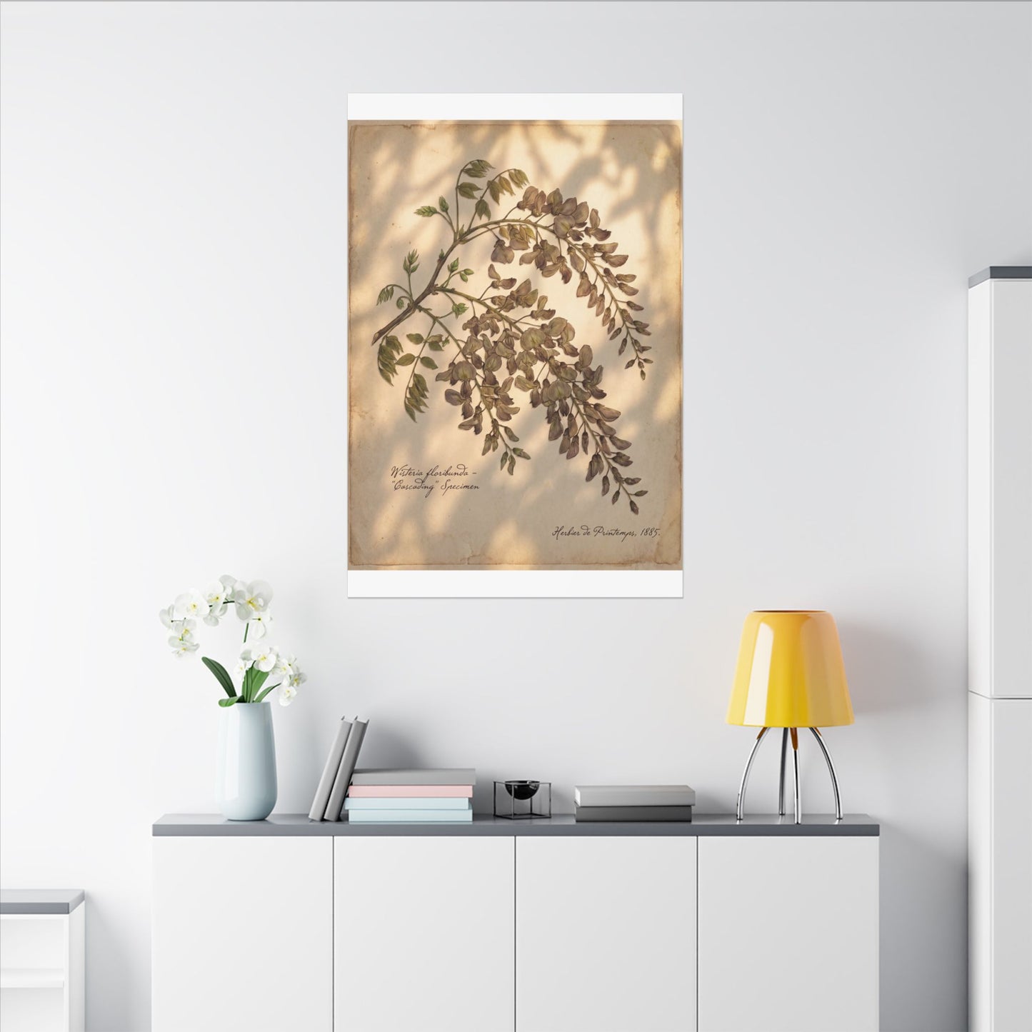 Spring Wisteria Herbarium Canvas Art | Earthy Decor