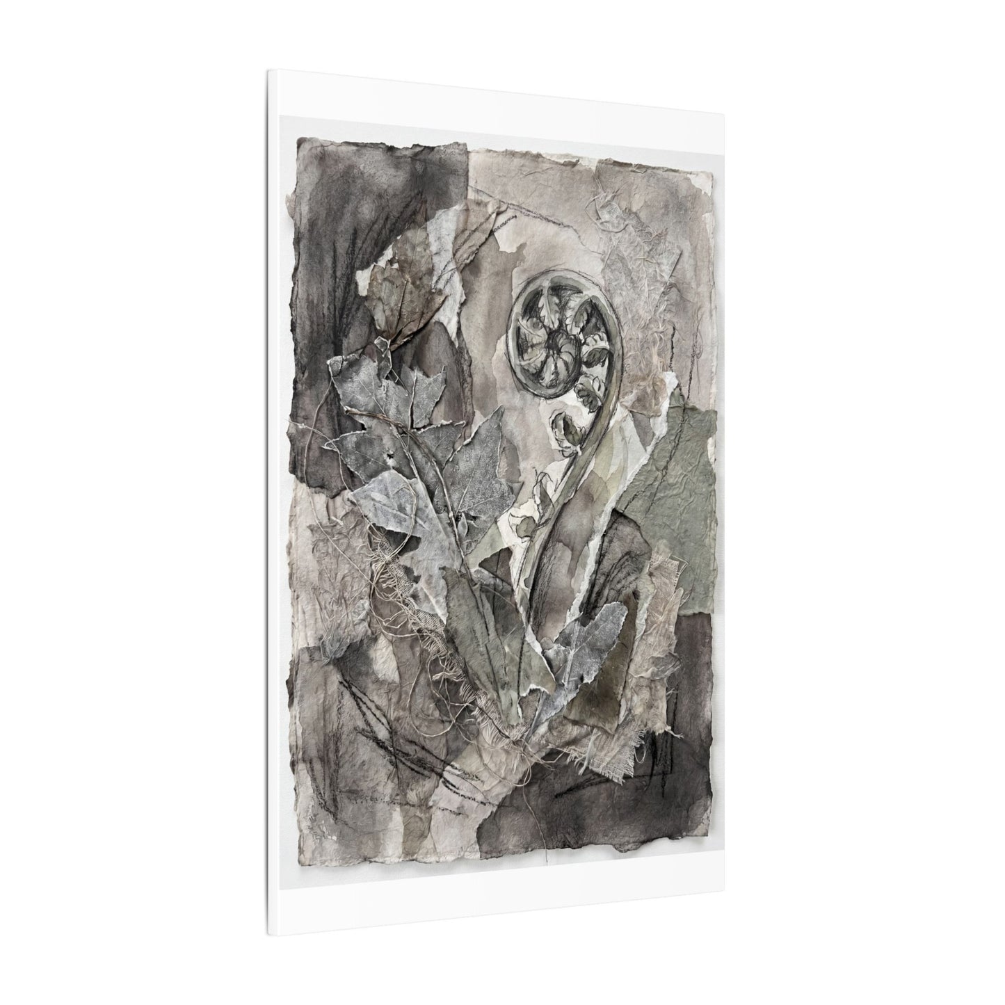 Japandi Fern Unfurling in Overcast | Texture Canvas Art