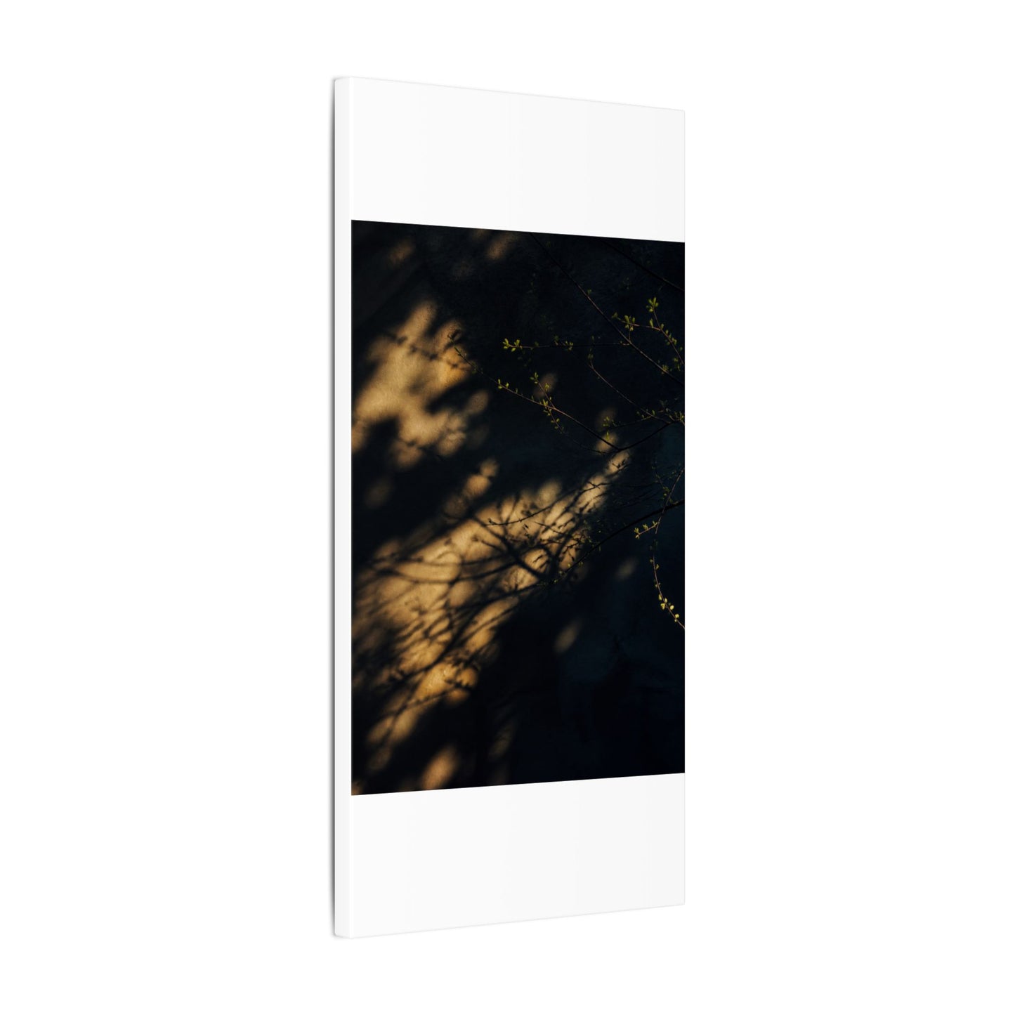 Moody Shadow Play Canvas Art - Moody Minimal Dark Japandi