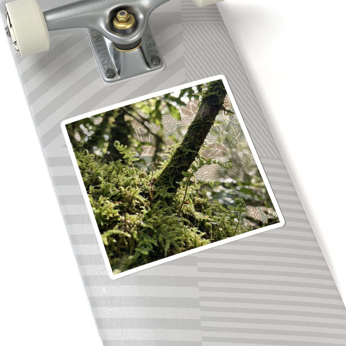 Moss Close Up Spring Sticker | Japandi Earthy Design Art Print