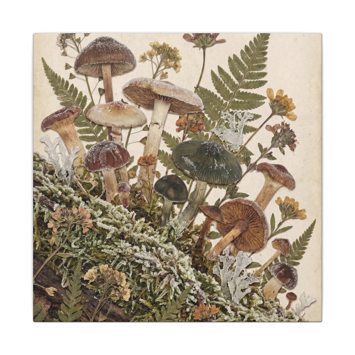 Winter Wild Mushrooms Herbarium Canvas Art | Enchanting Decor