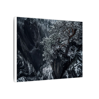 Dark Japandi Pine Tree in Dappled | Dark Texture Canvas Art