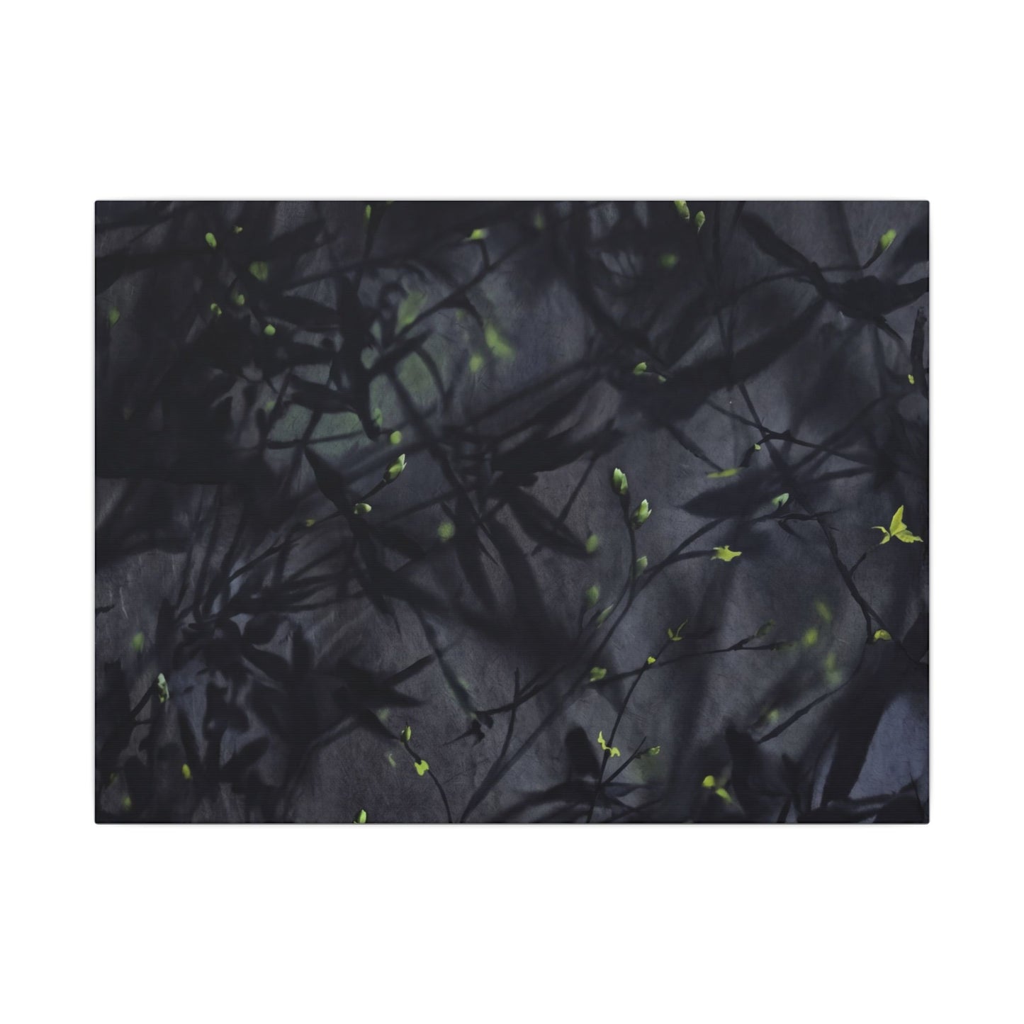 Shadow Play Spring Canvas Art | Dark Japandi Atmospheric Design