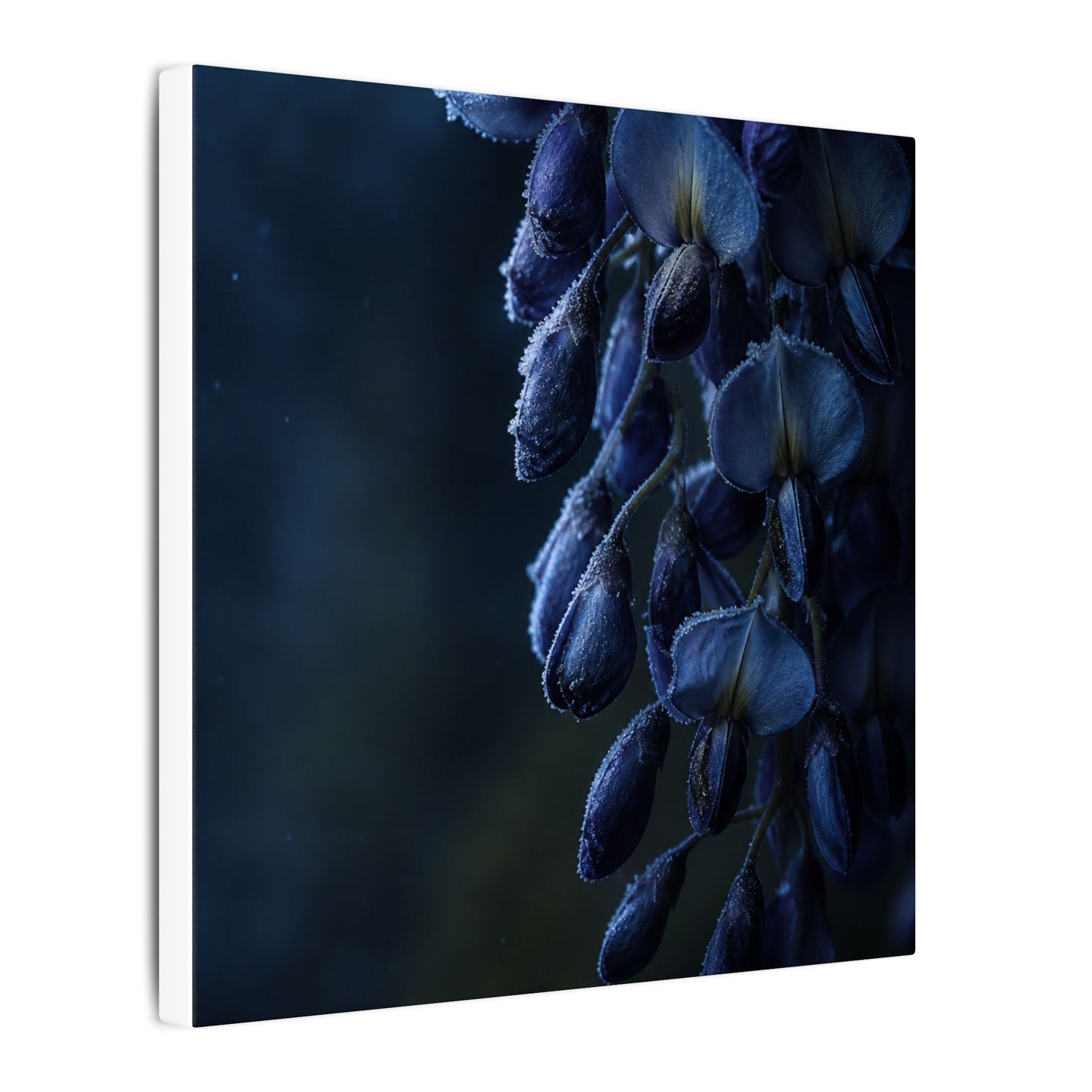 Winter Wisteria Shadow Zen Canvas Art | Atmospheric Decor