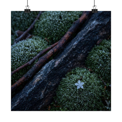 Moss Close Up Moody Minimal Wall Art Print | Moody Dark Japandi Art Art Print