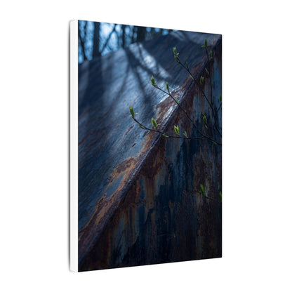 Rust Patina Canvas Art | Spring Dark Japandi Shadow Zen Art