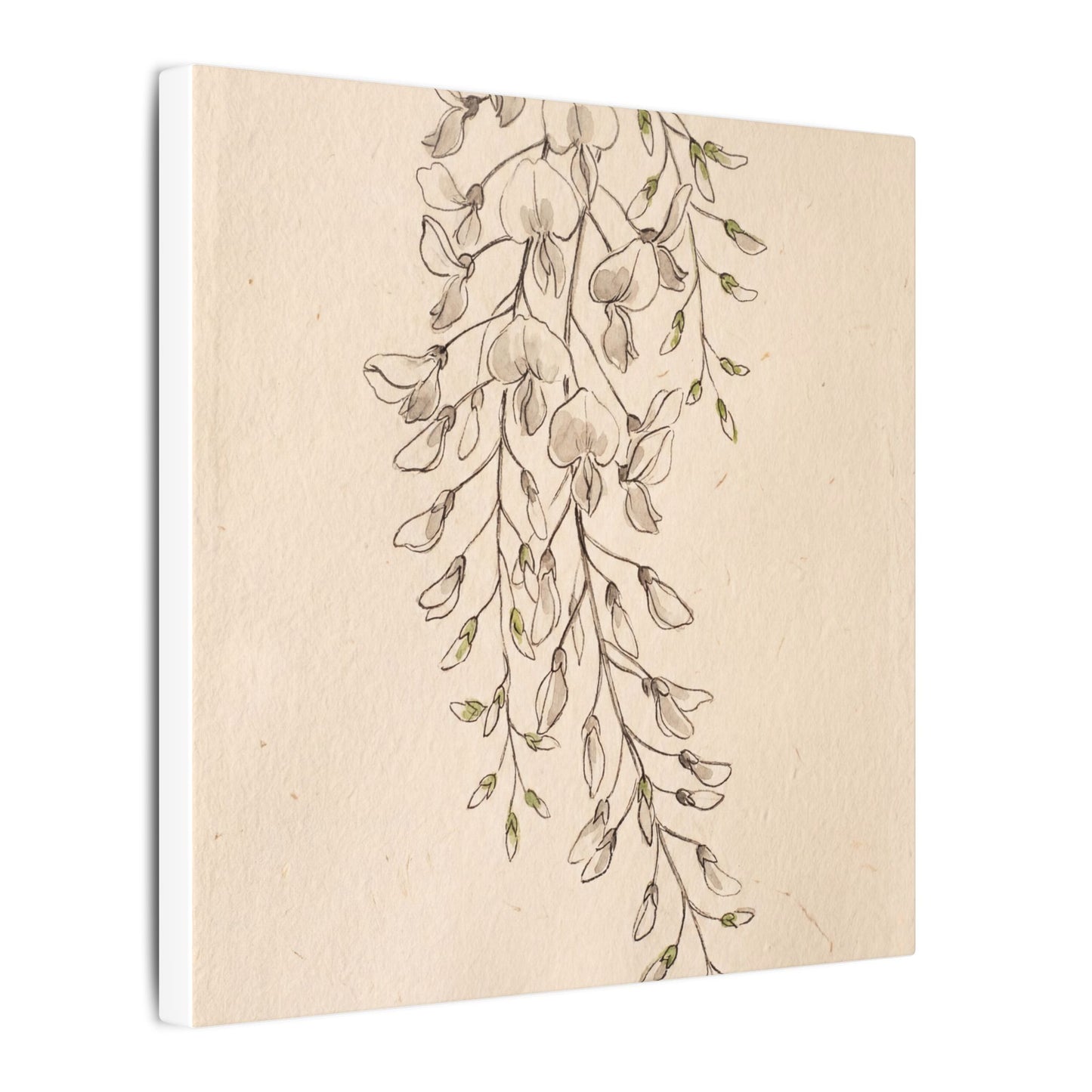 Japandi Wisteria in Golden Hour | Minimal Line Canvas Art