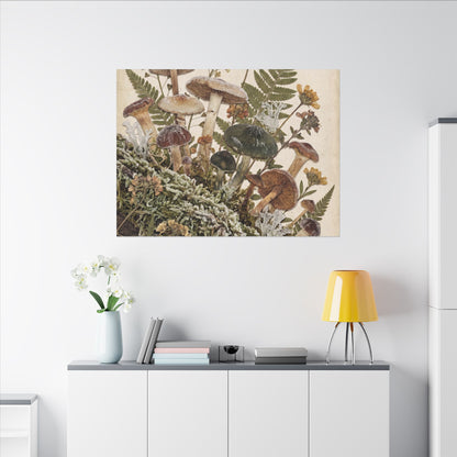 Winter Wild Mushrooms Herbarium Canvas Art | Enchanting Decor