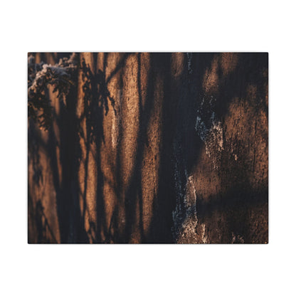 Golden Hour Shadow Play Canvas Art - Dark Japandi Fukinsei