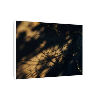Moody Shadow Play Canvas Art - Moody Minimal Dark Japandi