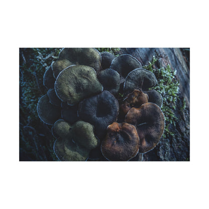 Wild Mushrooms Moody Minimal Canvas Art | Moody Dark Japandi Art