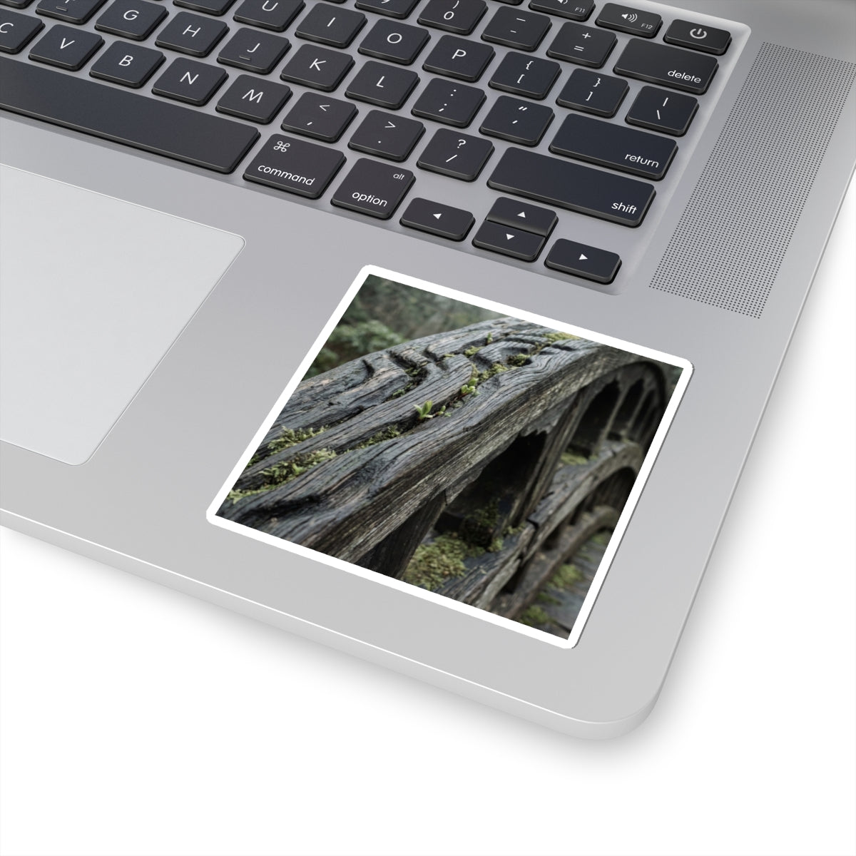 Wooden Bridge Spring Sticker | Japandi Earthy Design Art Print