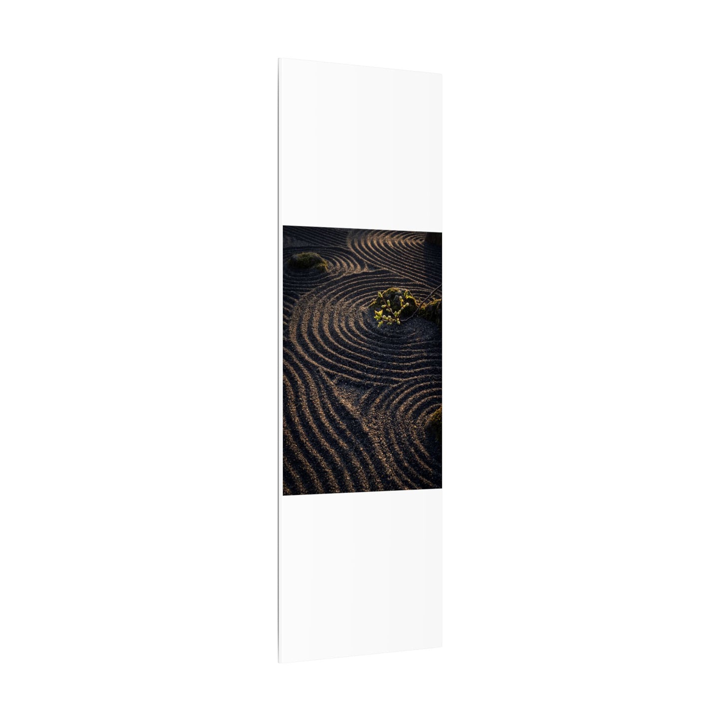 Spring Rock Garden Shadow Zen Canvas Art | Atmospheric Decor